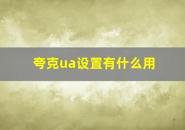 夸克ua设置有什么用