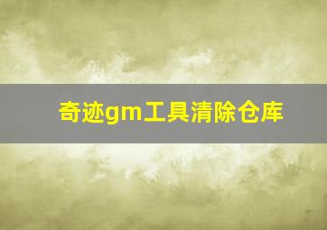 奇迹gm工具清除仓库