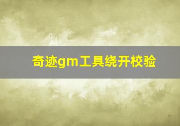 奇迹gm工具绕开校验