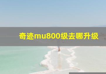 奇迹mu800级去哪升级