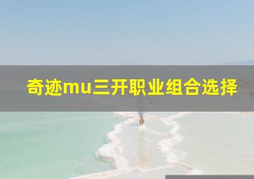 奇迹mu三开职业组合选择