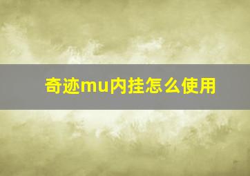 奇迹mu内挂怎么使用