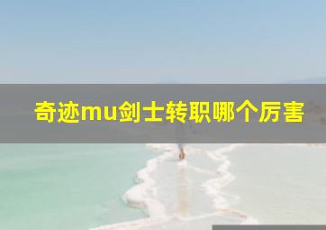 奇迹mu剑士转职哪个厉害