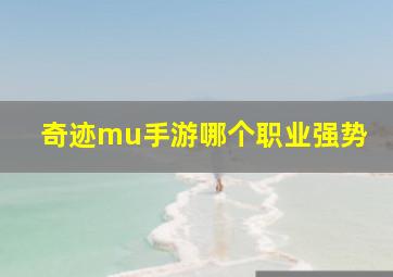 奇迹mu手游哪个职业强势