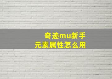 奇迹mu新手元素属性怎么用