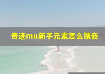 奇迹mu新手元素怎么镶嵌