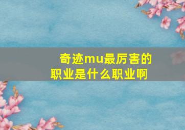 奇迹mu最厉害的职业是什么职业啊