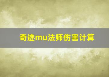 奇迹mu法师伤害计算