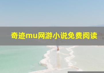 奇迹mu网游小说免费阅读