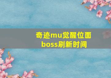 奇迹mu觉醒位面boss刷新时间