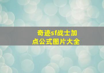 奇迹sf战士加点公式图片大全