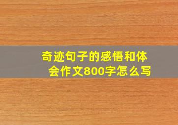 奇迹句子的感悟和体会作文800字怎么写