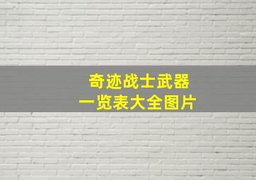 奇迹战士武器一览表大全图片