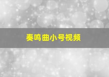 奏鸣曲小号视频