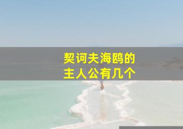 契诃夫海鸥的主人公有几个