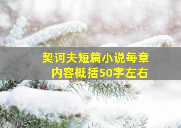 契诃夫短篇小说每章内容概括50字左右