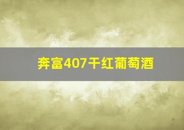 奔富407干红葡萄酒