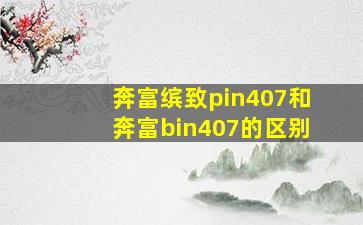 奔富缤致pin407和奔富bin407的区别