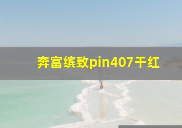 奔富缤致pin407干红