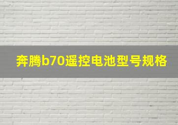 奔腾b70遥控电池型号规格