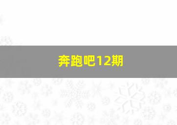 奔跑吧12期