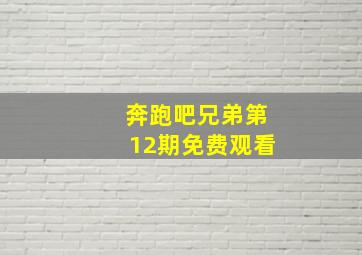 奔跑吧兄弟第12期免费观看