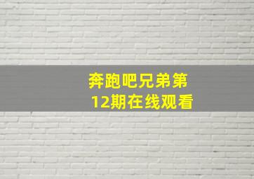 奔跑吧兄弟第12期在线观看