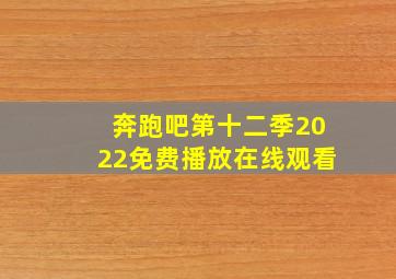 奔跑吧第十二季2022免费播放在线观看