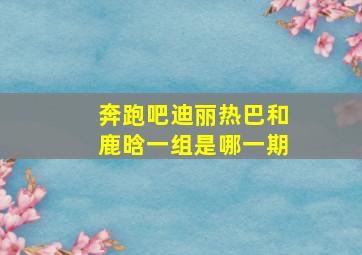 奔跑吧迪丽热巴和鹿晗一组是哪一期