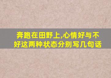 奔跑在田野上,心情好与不好这两种状态分别写几句话