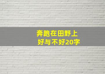 奔跑在田野上好与不好20字