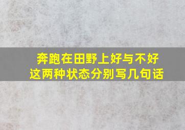 奔跑在田野上好与不好这两种状态分别写几句话