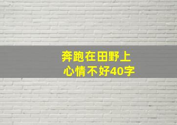 奔跑在田野上心情不好40字