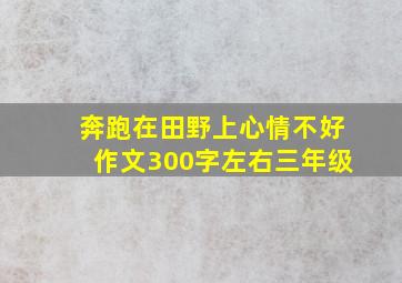 奔跑在田野上心情不好作文300字左右三年级