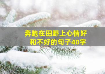 奔跑在田野上心情好和不好的句子40字