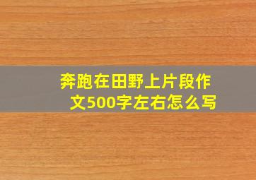 奔跑在田野上片段作文500字左右怎么写