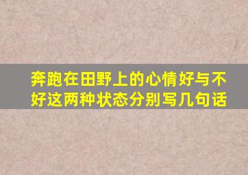 奔跑在田野上的心情好与不好这两种状态分别写几句话