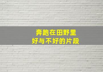 奔跑在田野里好与不好的片段