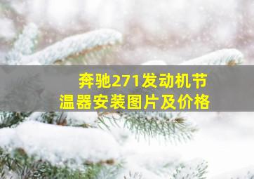 奔驰271发动机节温器安装图片及价格