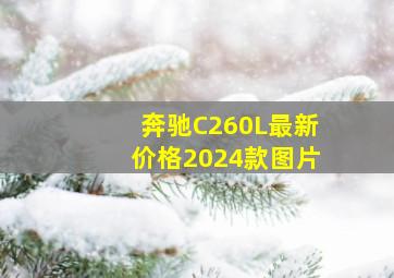 奔驰C260L最新价格2024款图片