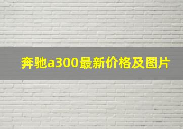 奔驰a300最新价格及图片