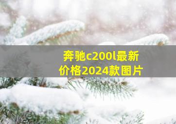 奔驰c200l最新价格2024款图片