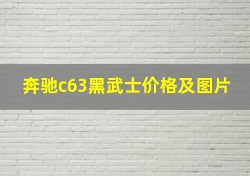 奔驰c63黑武士价格及图片