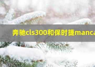 奔驰cls300和保时捷mancan