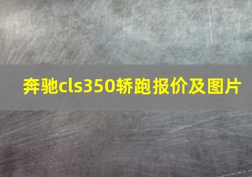 奔驰cls350轿跑报价及图片