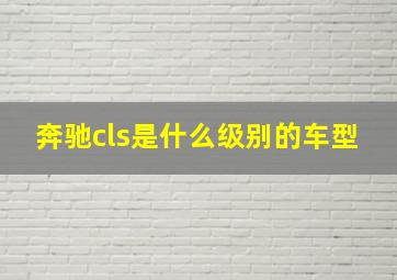 奔驰cls是什么级别的车型