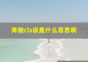 奔驰cls级是什么意思啊