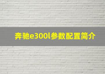 奔驰e300l参数配置简介