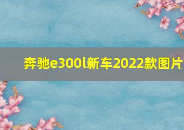 奔驰e300l新车2022款图片