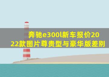 奔驰e300l新车报价2022款图片尊贵型与豪华版差别